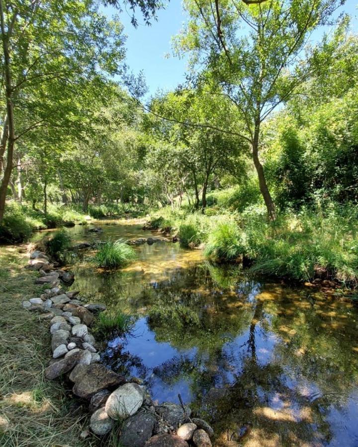 Hotel Ribera Del Corneja Navacepedilla de Corneja 외부 사진